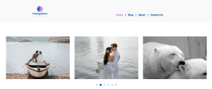 rsz_portfolio-10